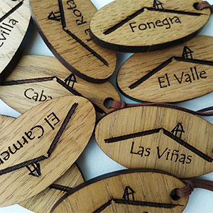 llaveros ovalados personalizados