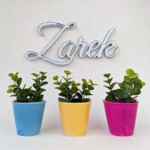 zarek nombre hecho en madera vintage